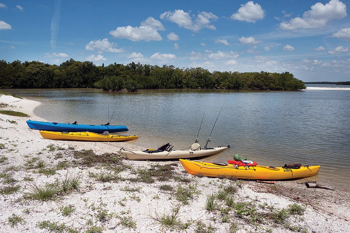 Kayak tour through the Ten Thousand Islands